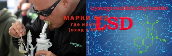 амф Тавда
