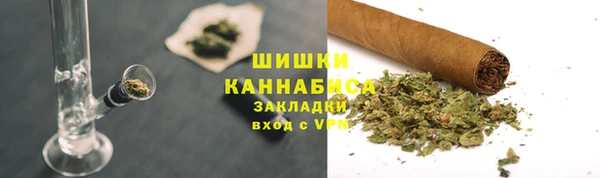 амф Тавда