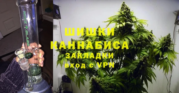 амф Тавда