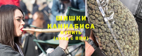 мдпв Сясьстрой